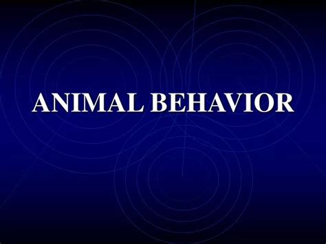 Ppt Animal Behavior Powerpoint Presentation Free Download Id1257542