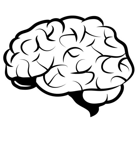 Brain Svg Brain Clipart Brain Files Brain Silhouette Etsy