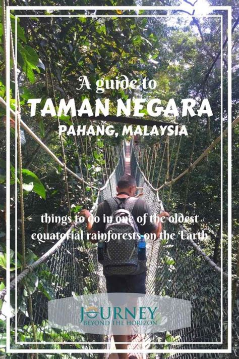 A Guide To Taman Negara Pahang Malaysia Things To Do In The Jungle