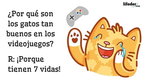 50 Chistes De Animales Para Niños Padres Y Maestros