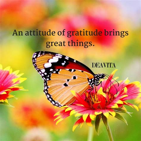 60 Gratitude Quotes And Inspirational Sayings About Being