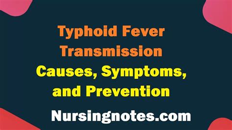 Typhoid Fever Transmission Causes Symptoms And Prevention Nursingnotes