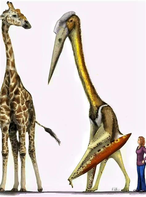 Quetzalcoatlus Northropi Is An Azhdarchid Pterosaur Known From The Late