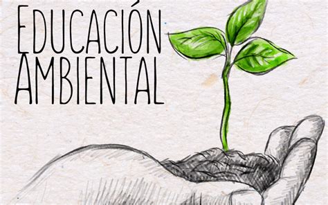 Día Mundial De La Educación Ambiental 26 De Enero Ambiente Radio