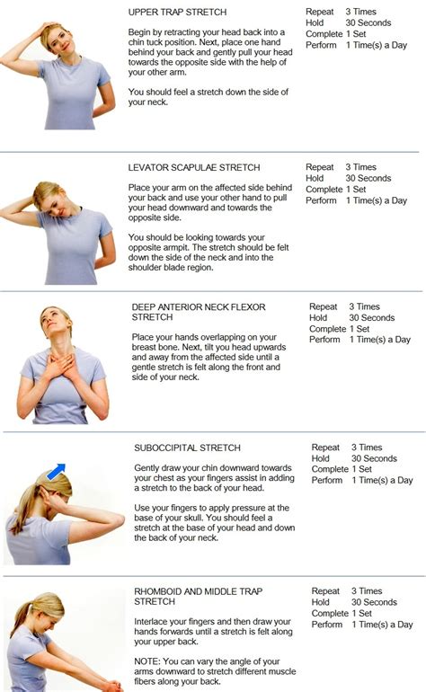 Printable Neck Stretches For The First Stretch Lower Your Chin To Your