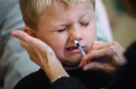 … mrna vaccine spurs the body. Nasal spray flu vaccine is back, but not at these clinics ...