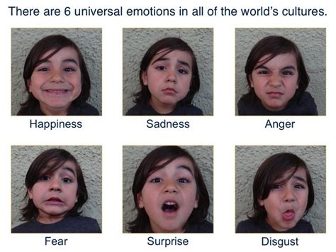 Universal Emotions Institute For Learning And Brain Sciences I Labs
