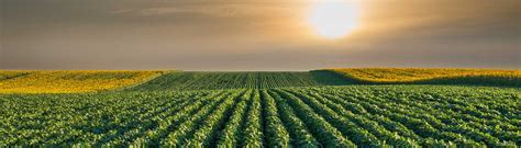 Farm Insurance Iowa Multi Peril Crop Insurance South Dakota Hail