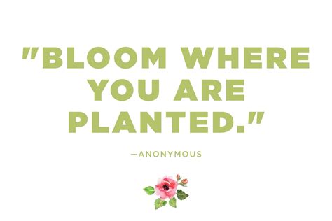 Turn to these uplifting flower quotes for a burst of motivation and to feel more connected to nature. Flower Quotes: 12 Calming Thoughts on Flowers | Reader's ...