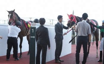 都道府県を選択 北海道 青森県 秋田県 岩手県 山形県 宮城県 福島県 群馬県 栃木県 茨城県 埼玉県 千葉県 東京都 神奈川県 山梨県 長野県 新潟県 富山県 石. ドバイ国際競走 チュウワウィザードなど登録の日本馬発表 ...