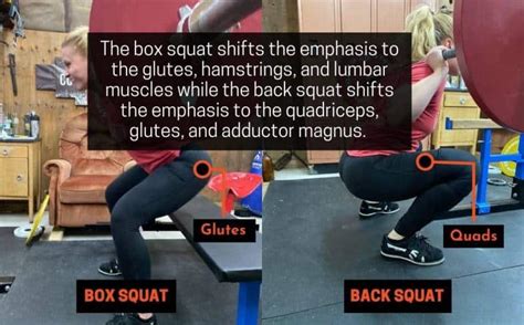 The Ultimate Box Squat Workout Guide