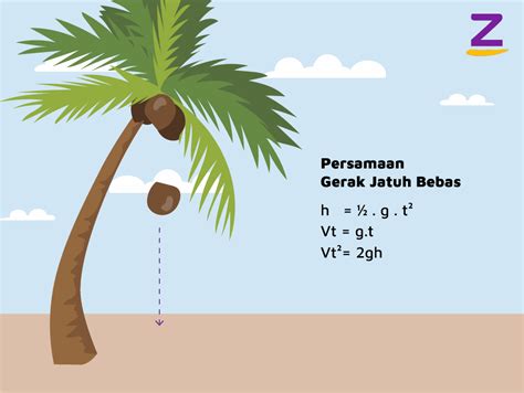 Rumus Gerak Vertikal Atas Dan Bawah Materi Fisika Kelas 10