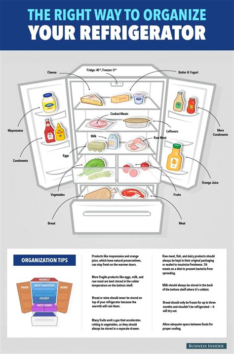 Heres The Right Way To Organize Your Refrigerator Fridge