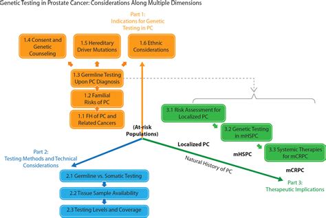 Frontiers Genetic Testing And Its Clinical Application In Prostate Cancer Management