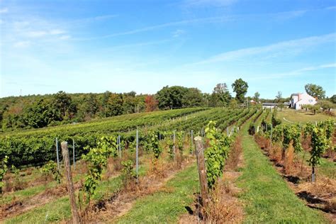 Sunset Meadow Vineyards Not To Be Missed Connecticut Ct Wine Trail