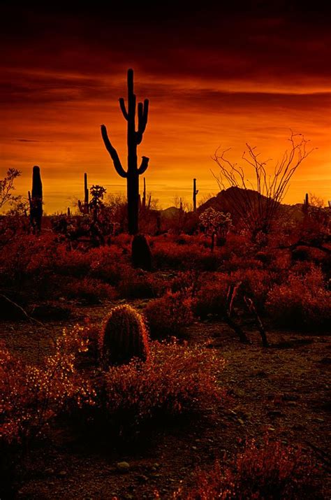 A Red Desert By Saija Lehtonen Desert Photography Desert Sunset