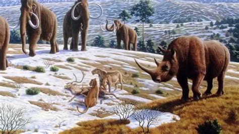 Ice Age Mass Extinctions Explained Youtube