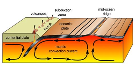 Describe The Formation Of Convection Currents In The Mantle