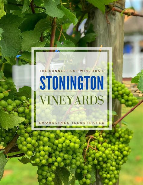 Stonington Vineyards The Connecticut Wine Trail Wine Trail