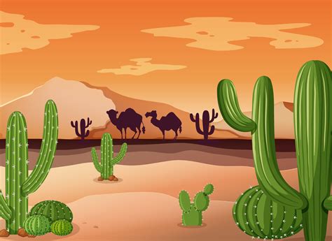Desert Scene With Cactus And Sunset 301997 Download Free