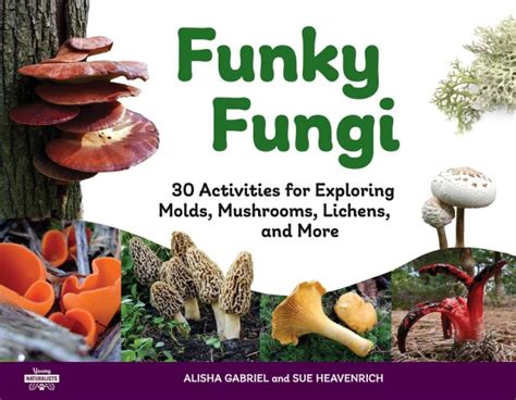 Fungi Pictures For Kids