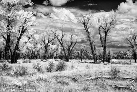 Infrared Photography A Smart Guide For Beginners