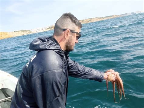 Polícia Marítima apreende arte de pesca e 15kg de polvo junto à praia