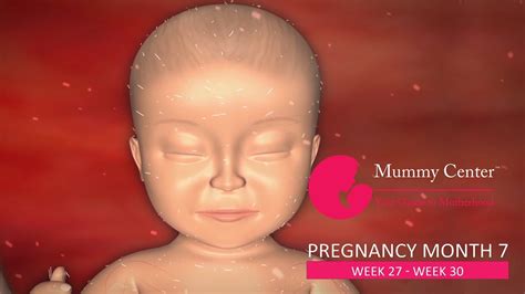 7th month of pregnancy definitive guide for pregnancy month 7 week 27 28 29 30 mummy
