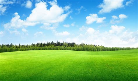 Sky And Grass Wallpapers Top Free Sky And Grass Backgrounds Wallpaperaccess