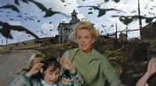 'The Birds' (1963) review: How does the Hitchcock classic hold up today ...