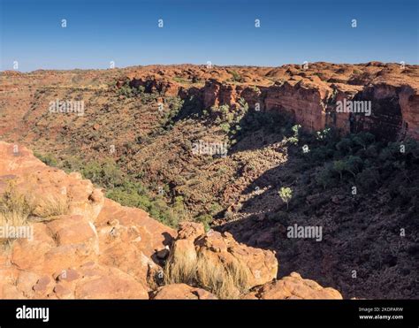 Kings Canyon From The South Wall Of The Rim Walk Watarrka National