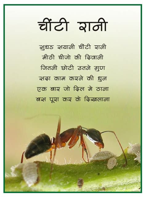 Rangeen Akshar Hindi Poems Chinti Rani Ant