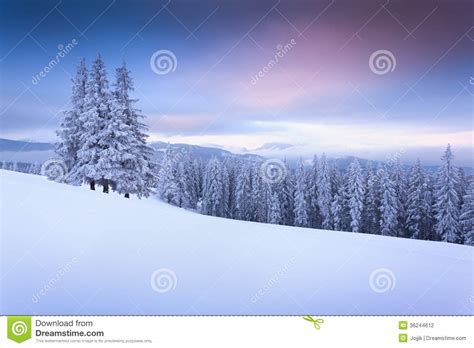 Beautiful Winter Sunrise In Mountains Stock Photography