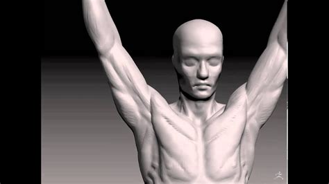 Torso Speed Sculpt Arms Up Youtube