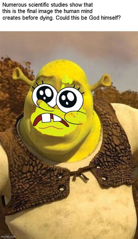 Shrekbob Imgflip