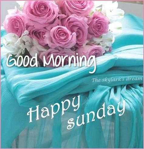 Good Morning Happy Sunday Pictures Photos And Images For