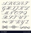 Script alphabet Royalty Free Vector Image - VectorStock
