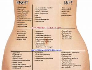Abdominal Differential Diagnosis Medical Institution