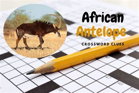 African Antelope Crossword Clues Breakdown By Letters And Other Facts