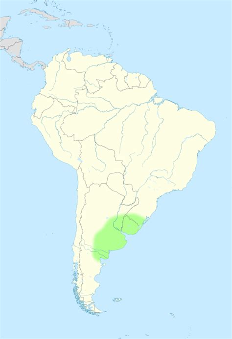 Pampas Wikipedia