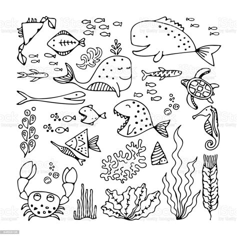 Detail Gambar Hewan Laut Hitam Putih Koleksi Nomer 15