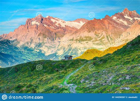 Splendid Summer Alpine Landscape With Old Wooden Hut Grindelwald Switzerland Stock Image