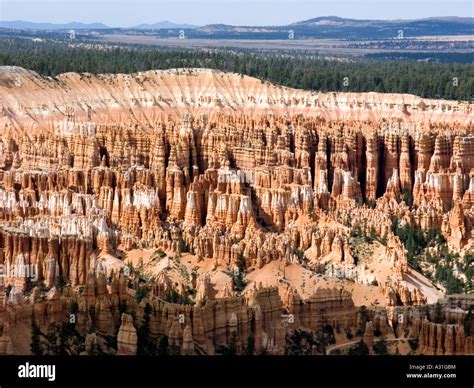 Hoodoos Bryce Canyon National Park Utah USA Stock Photo Alamy