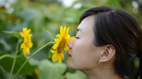 Loss Of Smell Anosmia Fact Sheets Yale Medicine