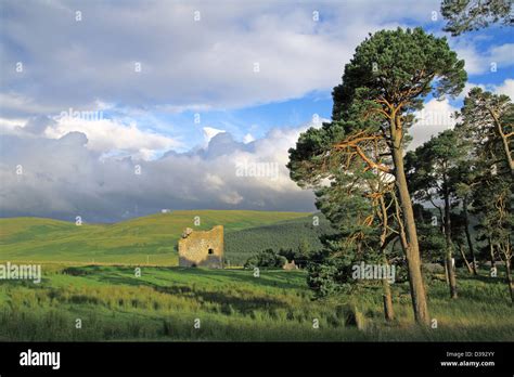 Dryhope Tower Yarrow Valley Borders County Scotland Uk Stock Photo
