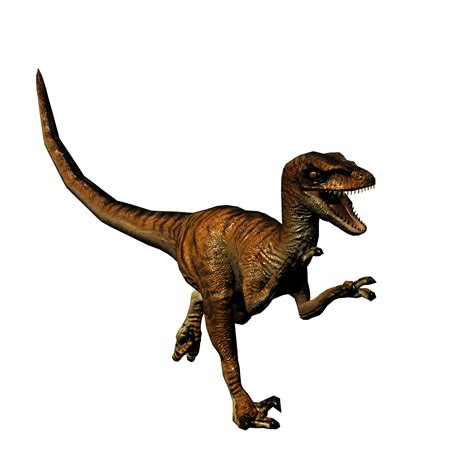 Velociraptor Photo