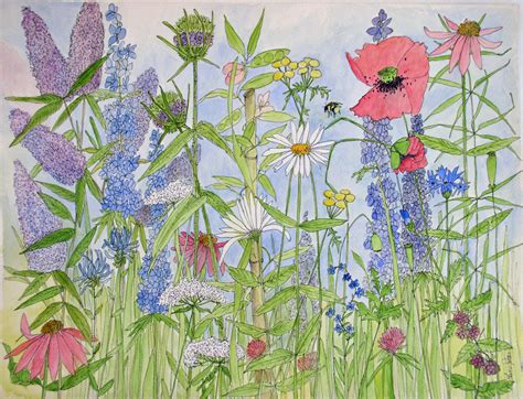 Large Floral Watercolor Ink Garden Flower Wildflower Illustration ...