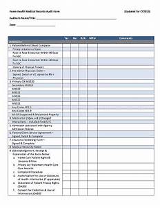 2013 2023 Home Health Medical Records Audit Form Fill Online Printable