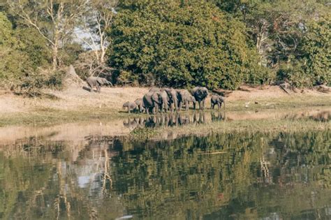 Discover The Awesome Liwonde National Park Of Malawi