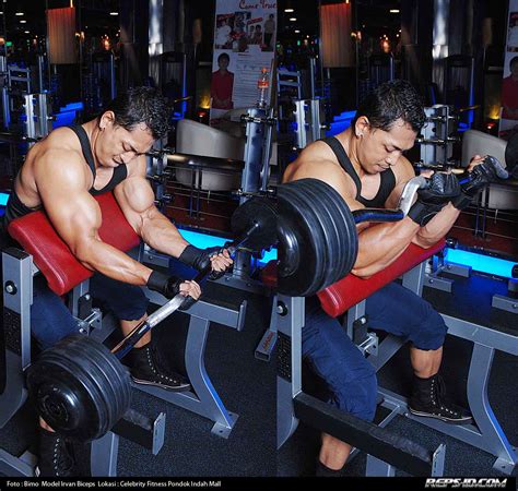 Preacher Barbell Curl Close Grip Reps Indonesia Fitness And Healthy